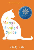 A Mango-Shaped Space cover