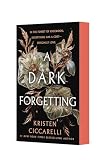 A Dark Forgetting: A Novel