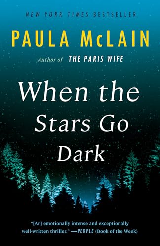 When the Stars Go Dark: A Novel