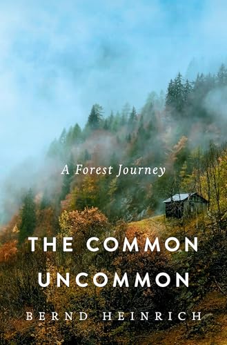The Common Uncommon: A Forest Journey