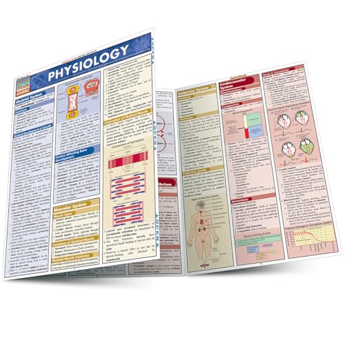 Physiology: QuickStudy Laminated Reference Guide (QuickStudy Academic) — Lam Crds (Pamphlet)