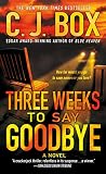 Three Weeks to Say Goodbye: A Novel