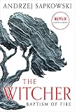 Baptism of Fire (The Witcher, 5)