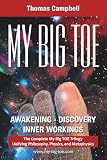 My Big Toe: A Trilogy Unifying Philosophy, Physics, and Metaphysics: Awakening, Discovery, Inner Workings