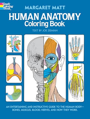 Human Anatomy Coloring Book: an Entertaining and Instructive Guide to the Human Body - Bones, Muscles, Blood, Nerves and How They Work (Coloring cover