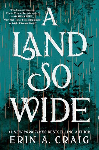 A Land So Wide: A Novel (Hardcover)
