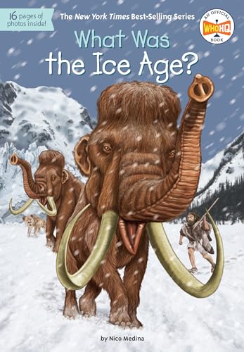 What Was the Ice Age? — Illustrated (Paperback)