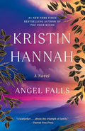 Angel Falls: A Novel cover