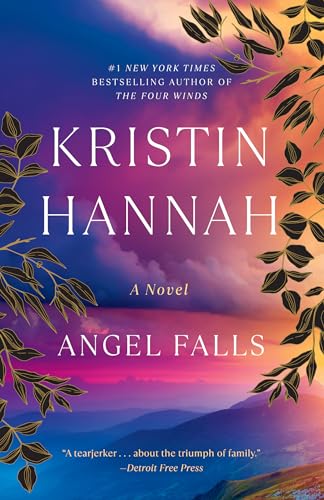 Angel Falls: A Novel cover