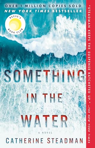 Something in the Water: Reese's Book Club: A Novel cover