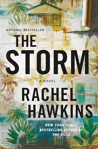 Book cover for The Storm: A Novel